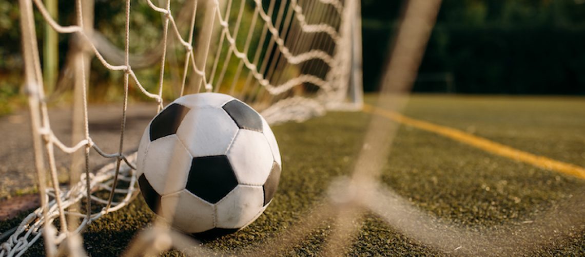 Soccer ball inside training net