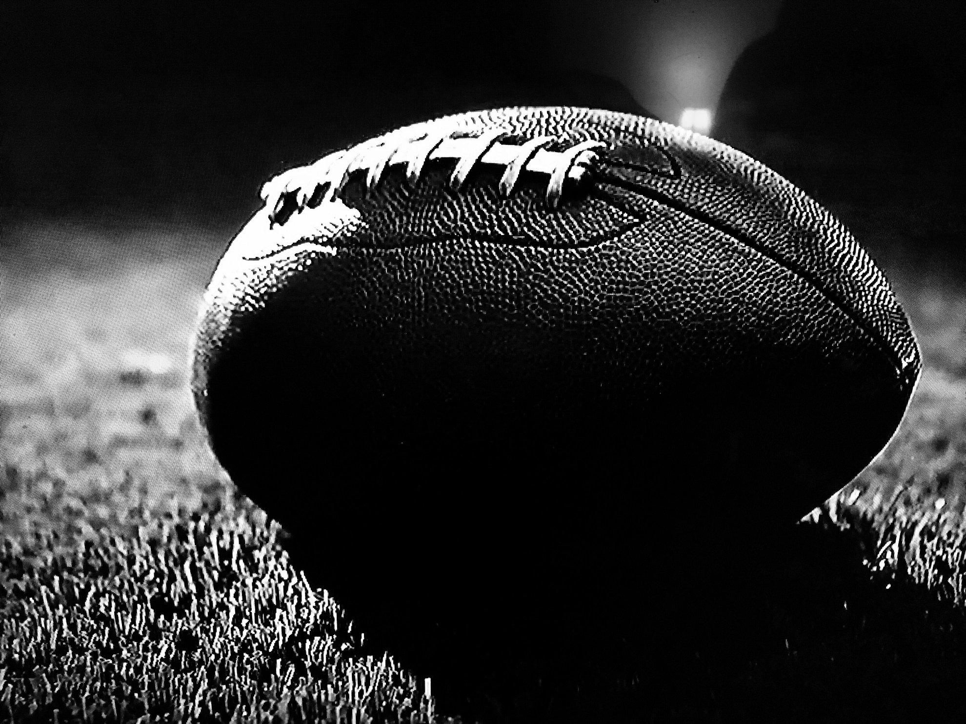 Football under the lights