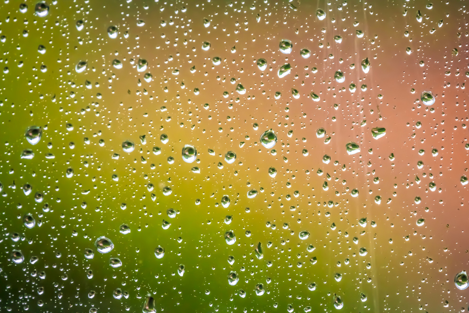 Raindrops on the home window