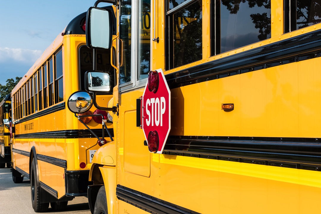 Yellow school buses